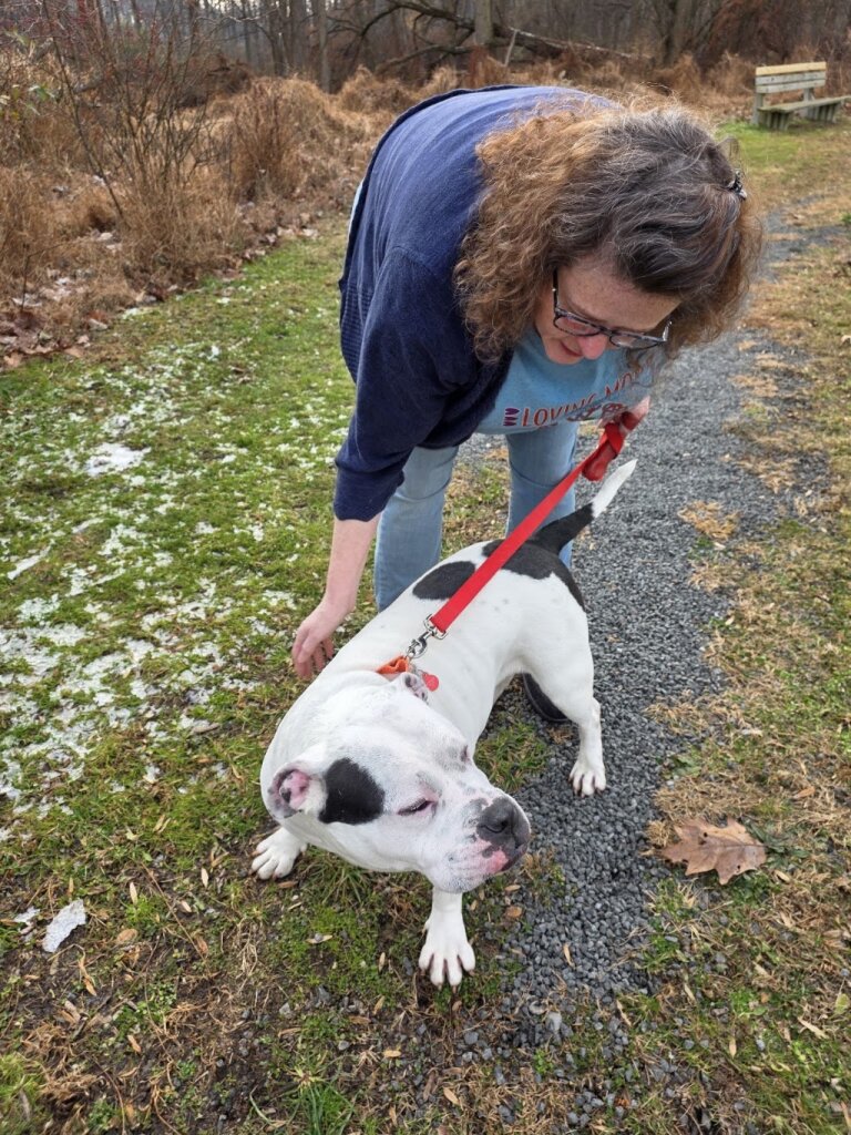 Animal Rescue League of Berks County in Birdsboro, PA