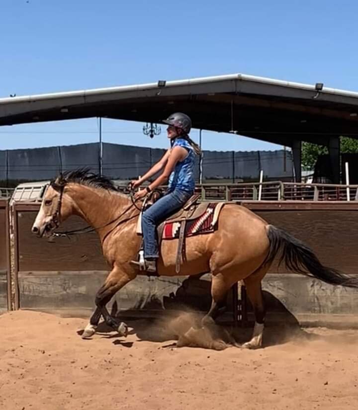 Animal Rescue of Lathrop HORSE'S in Lathrop, CA