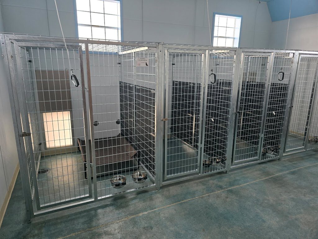 Animal Shelter & Care of Jefferson County in Boulder, MT