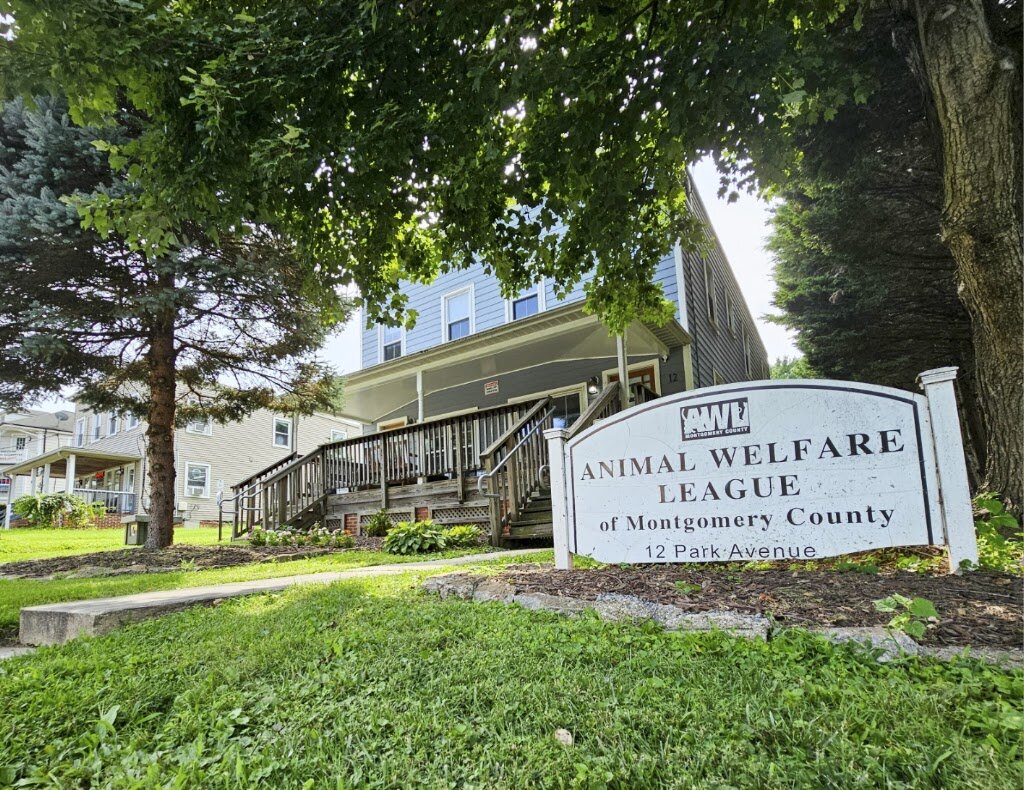 Animal Welfare League animal shelter in Gaithersburg, MD
