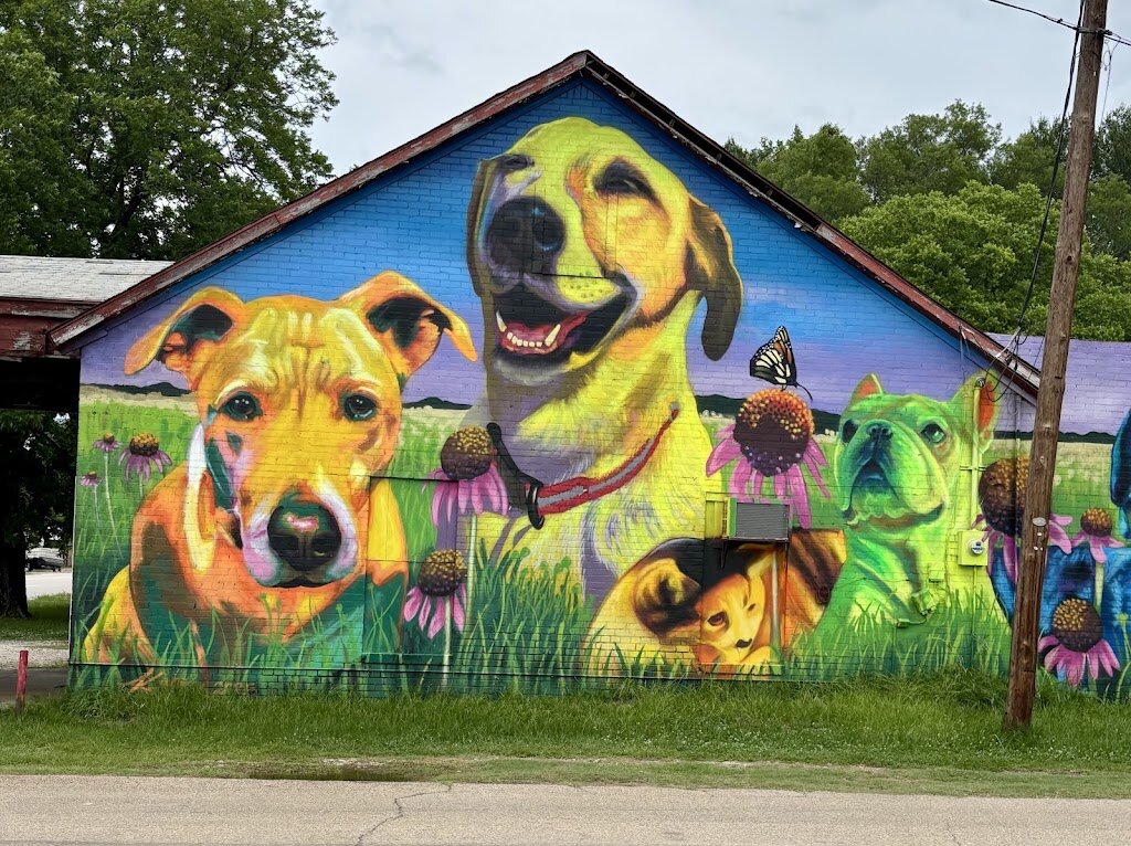 APET Animal Shelter in Mineola, TX