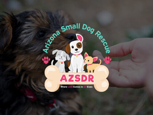 Arizona Small Dog Rescue animal shelter in Tempe, AZ