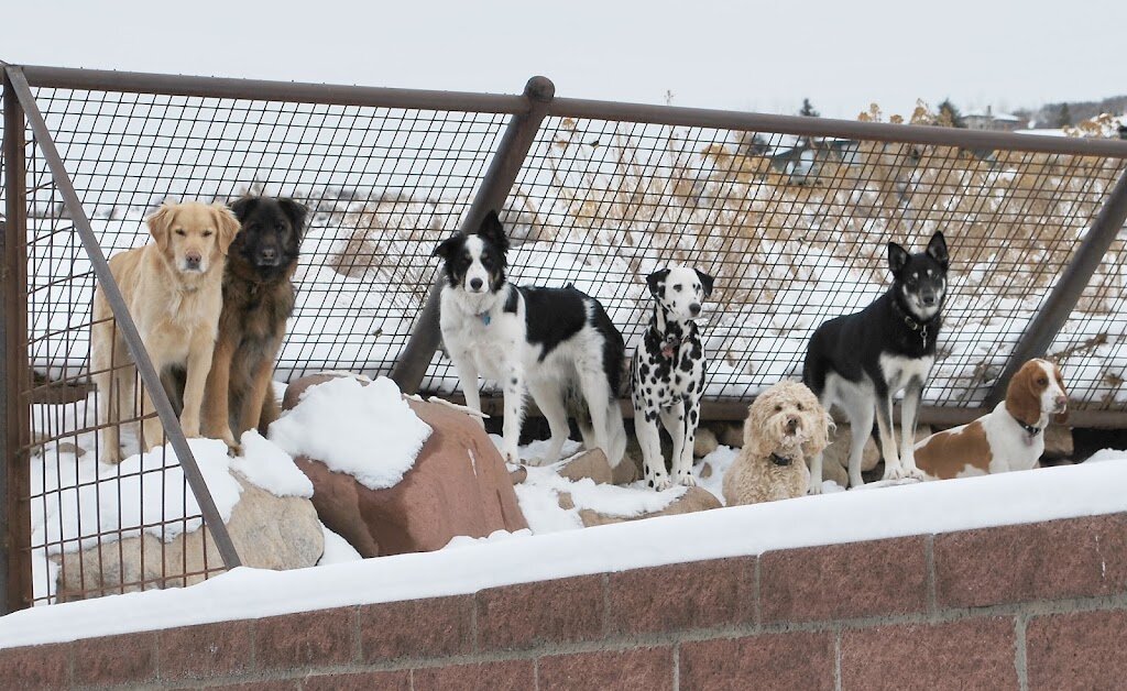 Aspen Animal Shelter in Aspen, CO