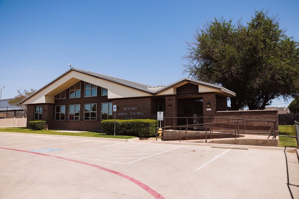 Bedford Animal Shelter in Bedford, TX