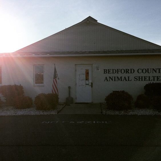 Bedford County Animal Shelter in Bedford, VA