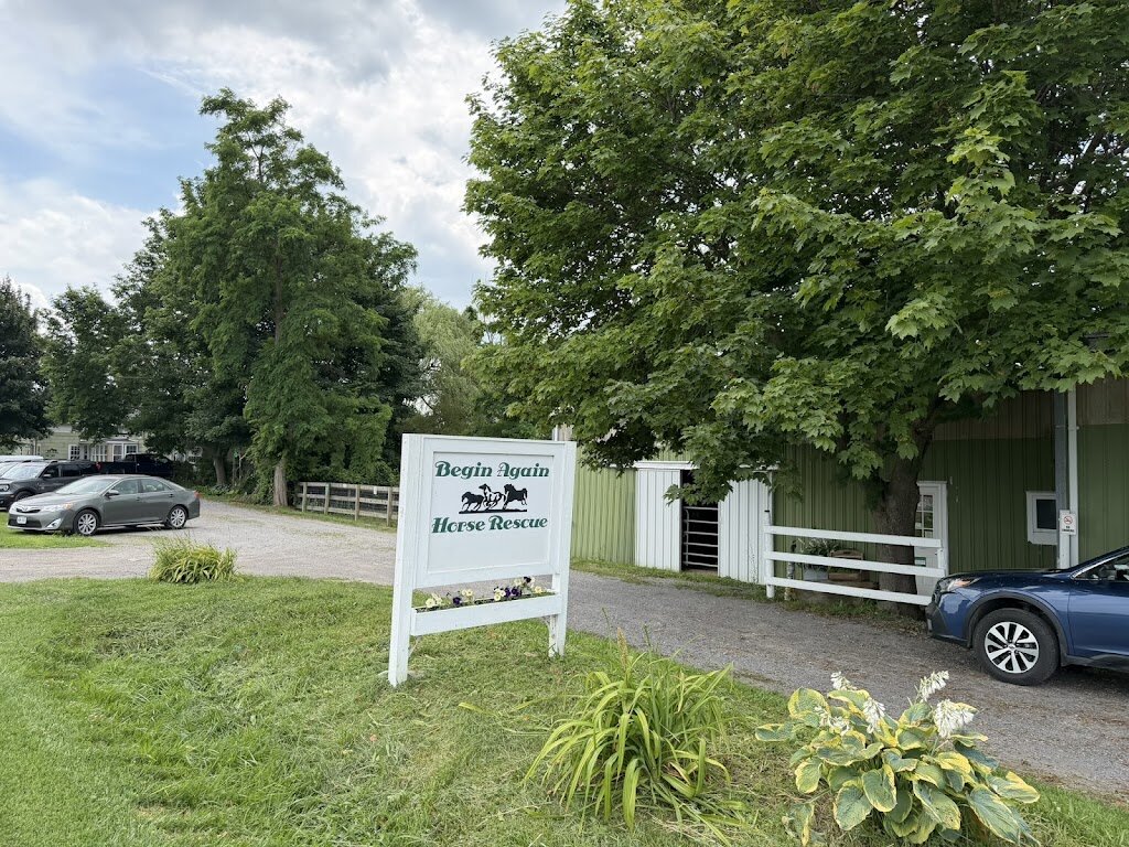Begin Again Horse Rescue in Lima, NY