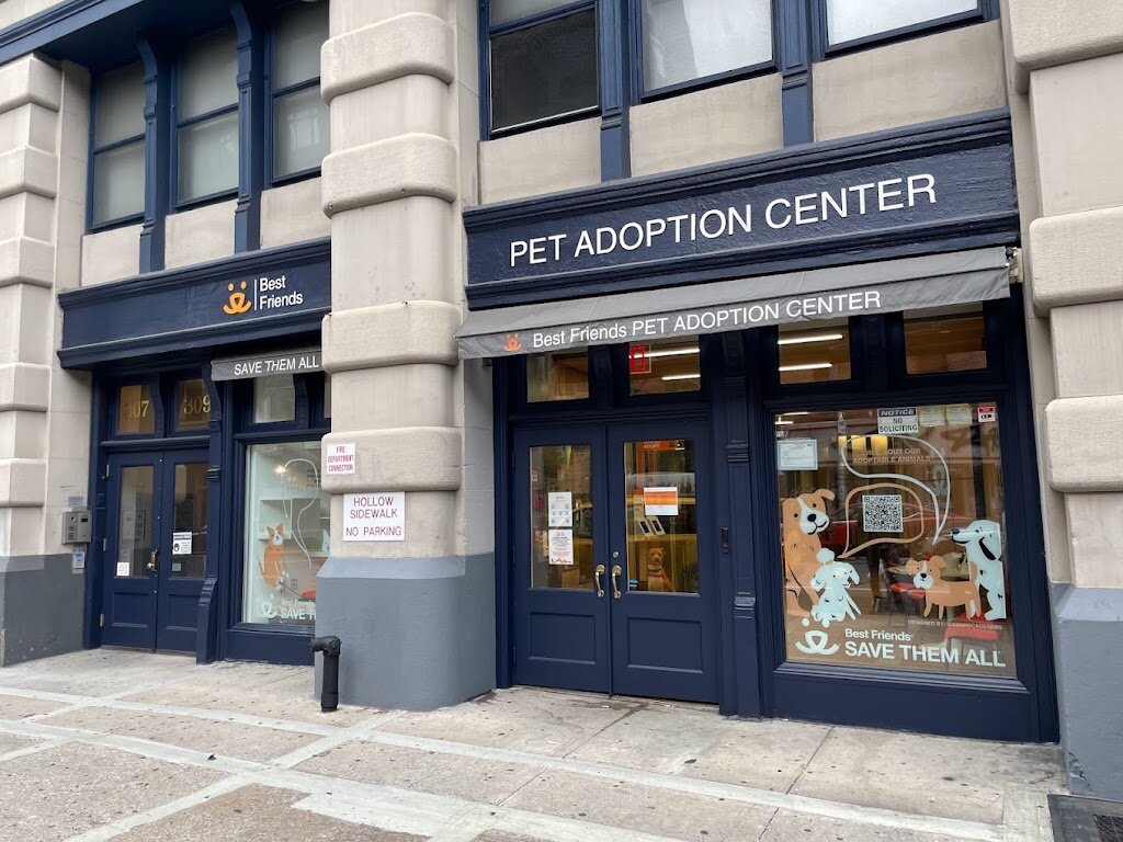 Best Friends Pet Adoption Center animal shelter in Brooklyn, NY