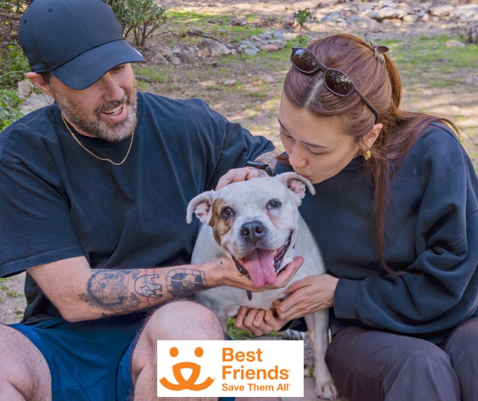 Best Friends Pet Adoption Center animal shelter in Los Angeles, CA