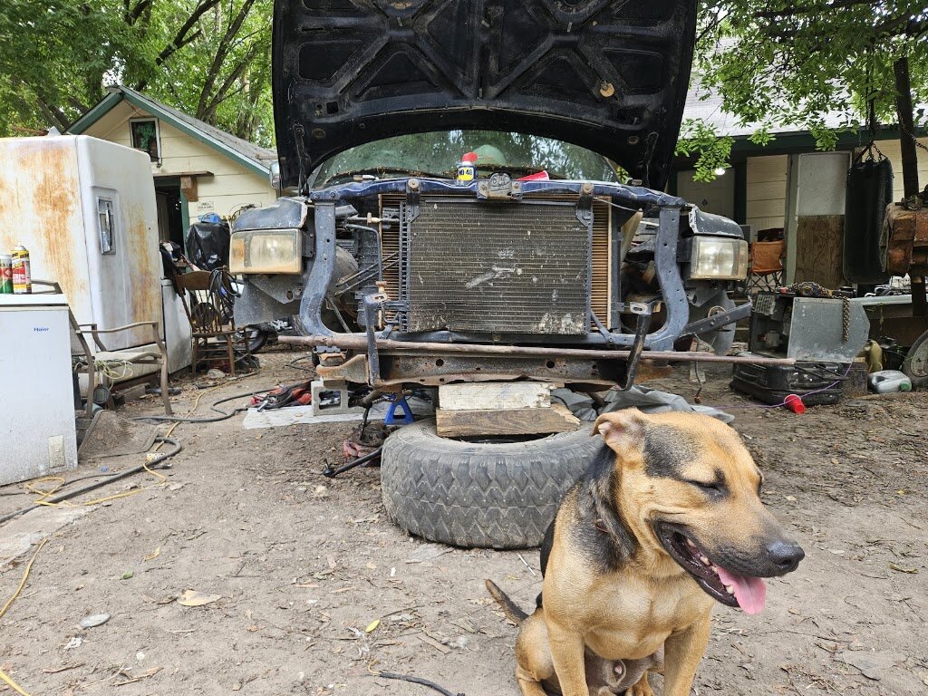 Bonham Animal Shelter in Bonham, TX