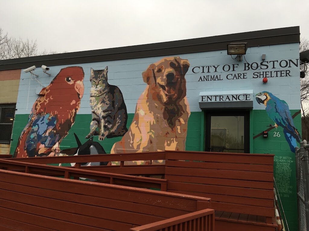 Boston Animal Care and Control Shelter in Boston, MA