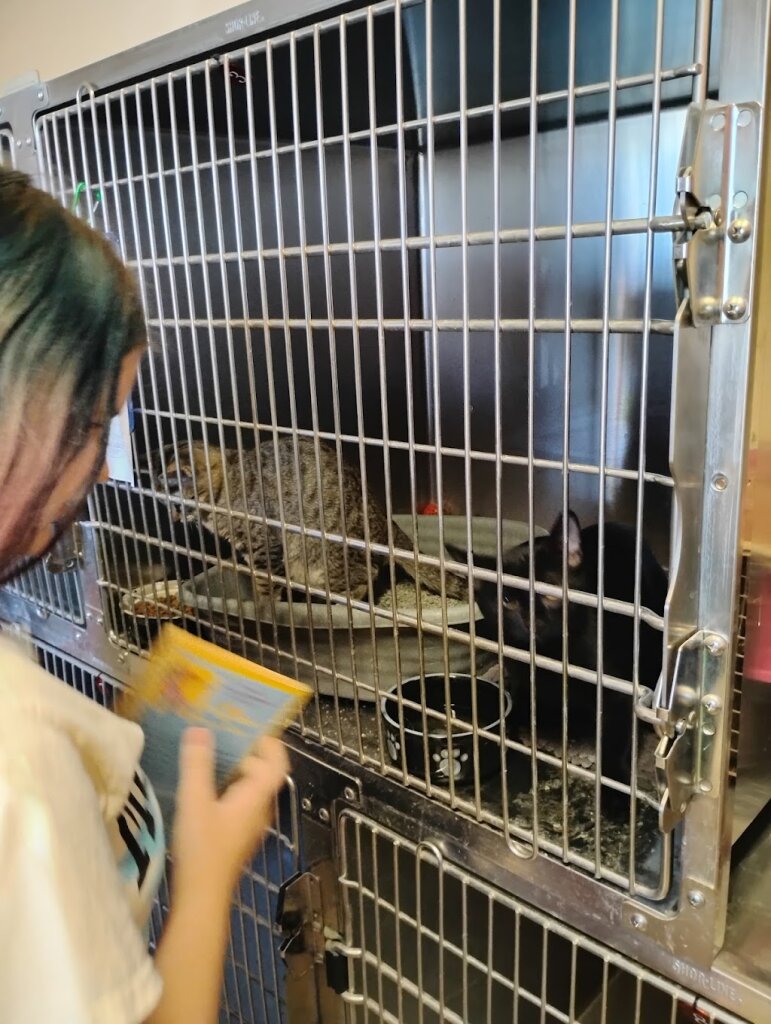 Boulder City Animal Shelter in Boulder City, NV