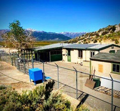 Bridgeport Animal Shelter in Bridgeport, CA