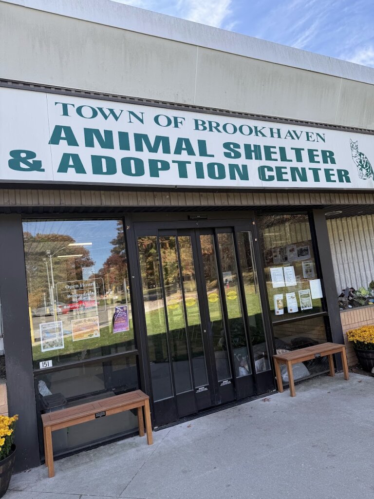 Brookhaven Animal Shelter in Brookhaven, NY