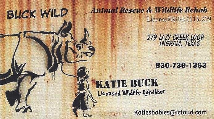 Buck Wild Animal Rescue and Wildlife Rehab in Ingram, TX