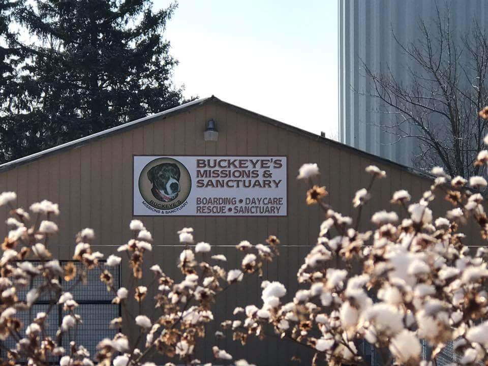 Buckeye's Missions and Sanctuary animal shelter in Brunswick, OH