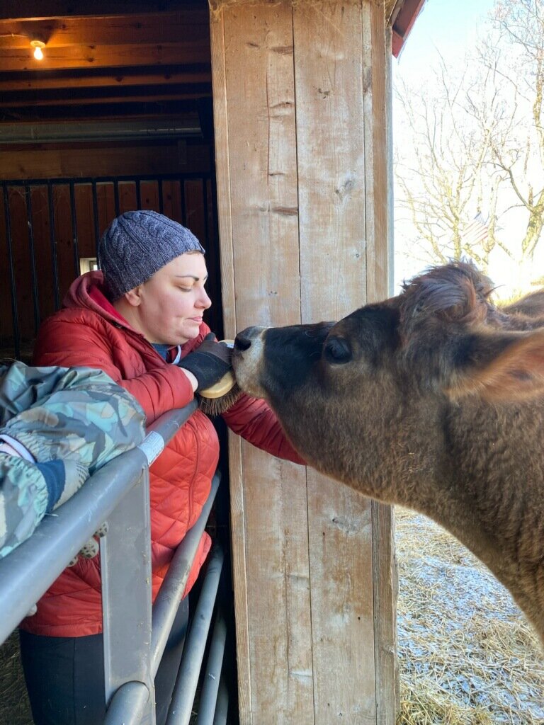 Bucky's Bull Rescue in Cedar Grove, WI