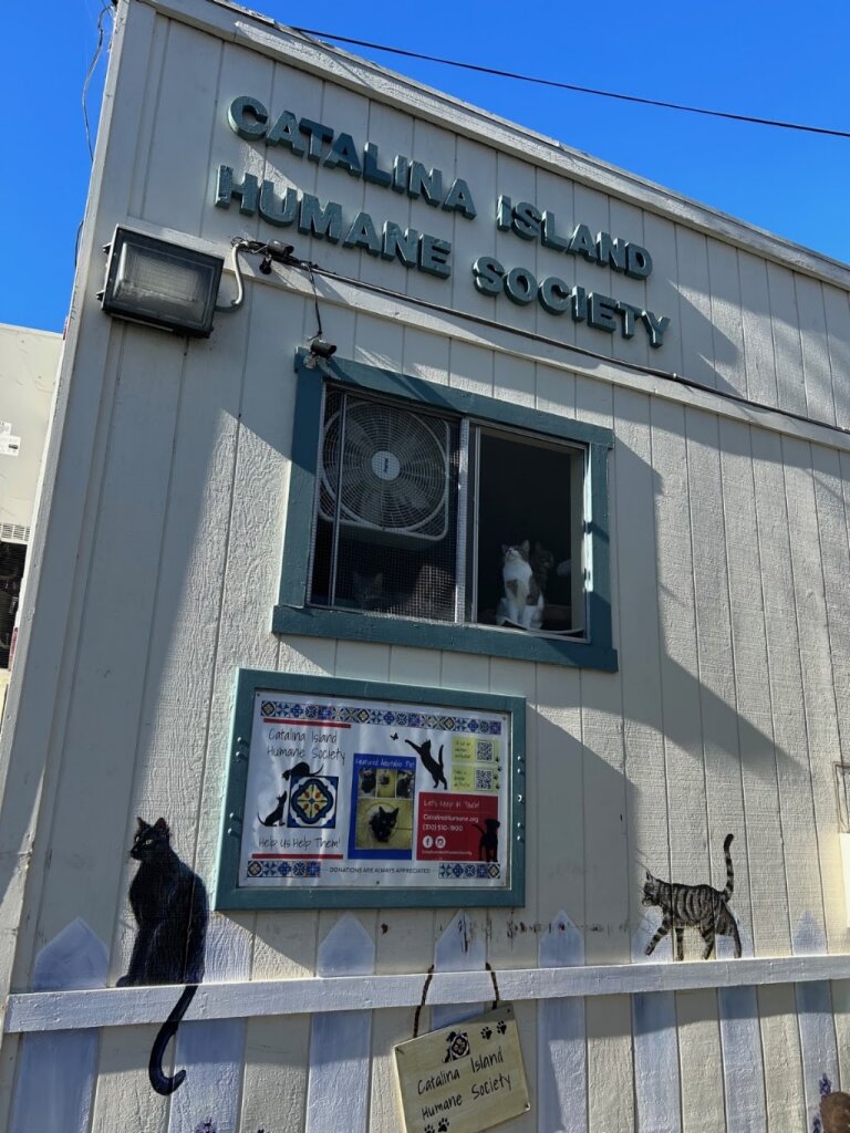 Catalina Island Humane Society in Avalon, CA