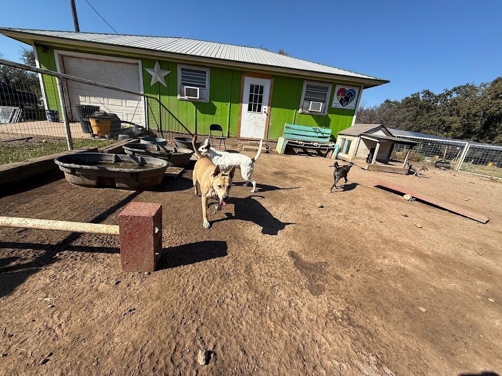 Celine's Cat & Cannine Rescue// C & C DOG BOADING animal shelter in Azle, TX