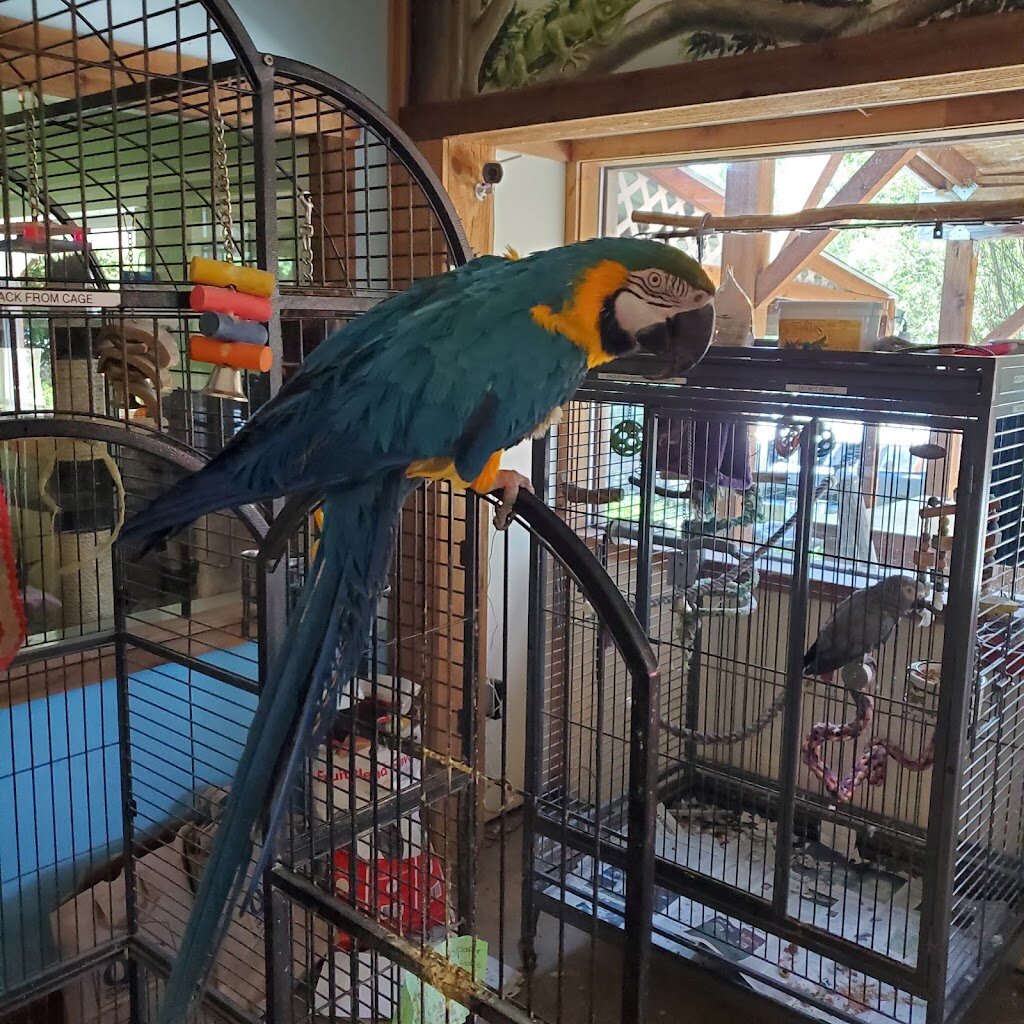 Center Valley Animal Rescue in Quilcene, WA