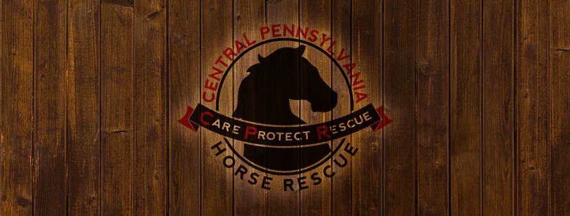 Central PA Horse Rescue animal shelter in Lewisberry, PA