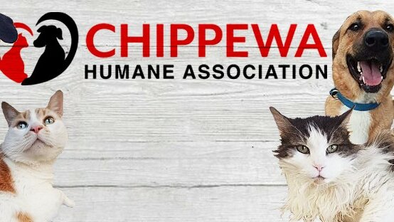 Chippewa Humane Association animal shelter in Chippewa Falls, WI