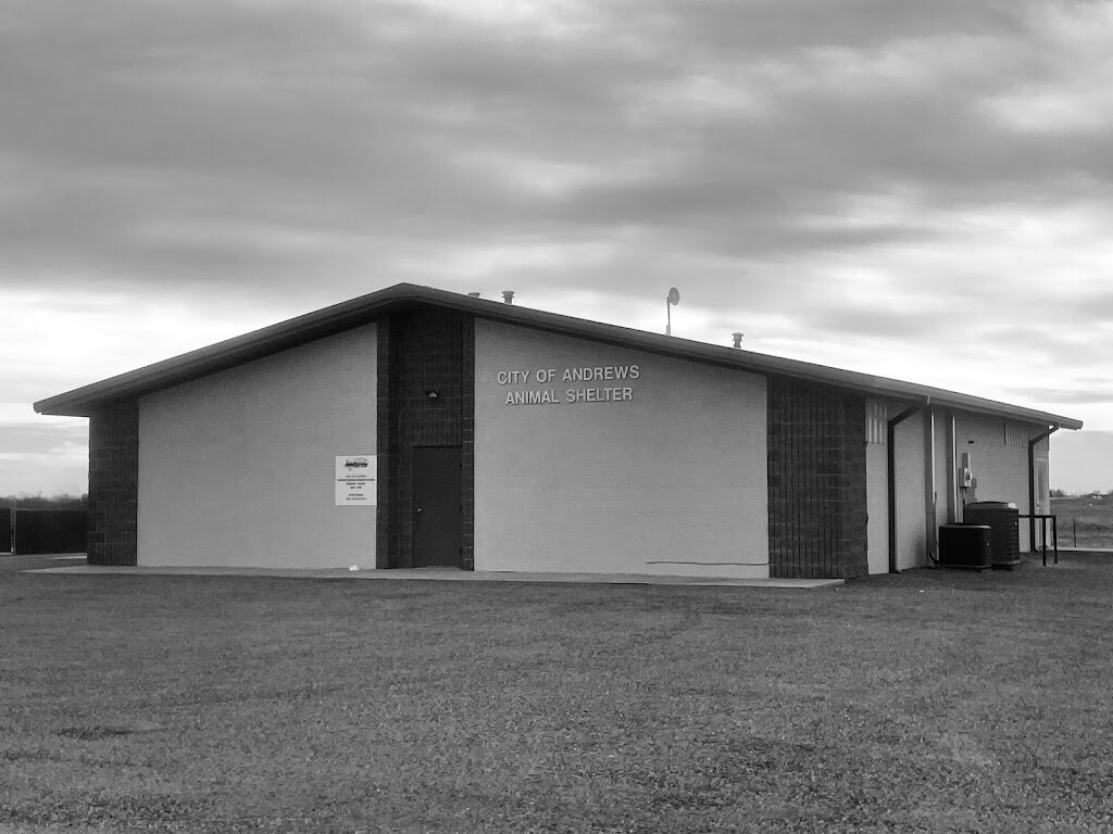 City Of Andrews Animal Shelter in Andrews, TX