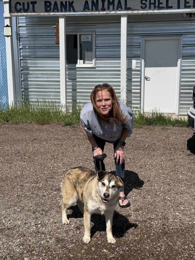 City of Cut Bank Animal Shelter in Cut Bank, MT