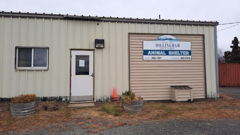 City of Dillingham Alaska Animal Shelter in Dillingham, AK