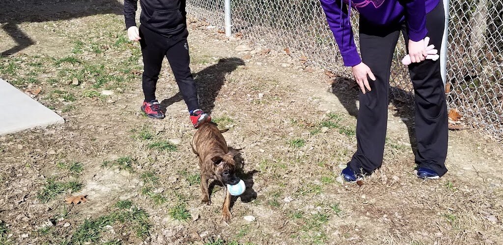 City of Hopewell Animal Shelter in Hopewell, VA