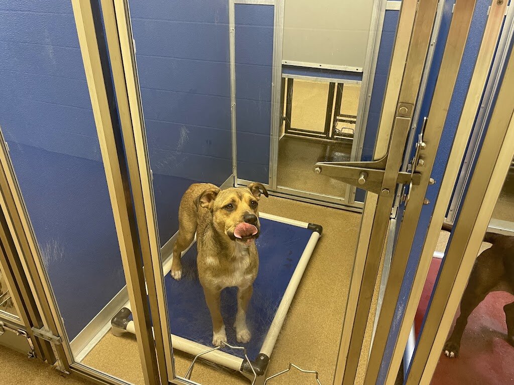 City of Norman Animal Welfare animal shelter in Norman, OK