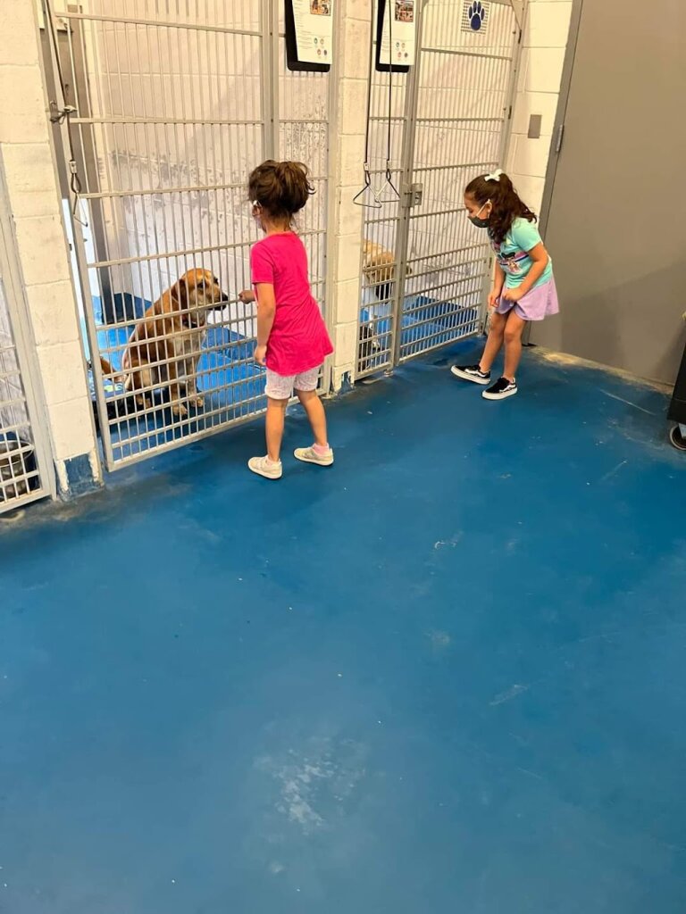 City of Pearland Animal Shelter & Adoption Center in Pearland, TX
