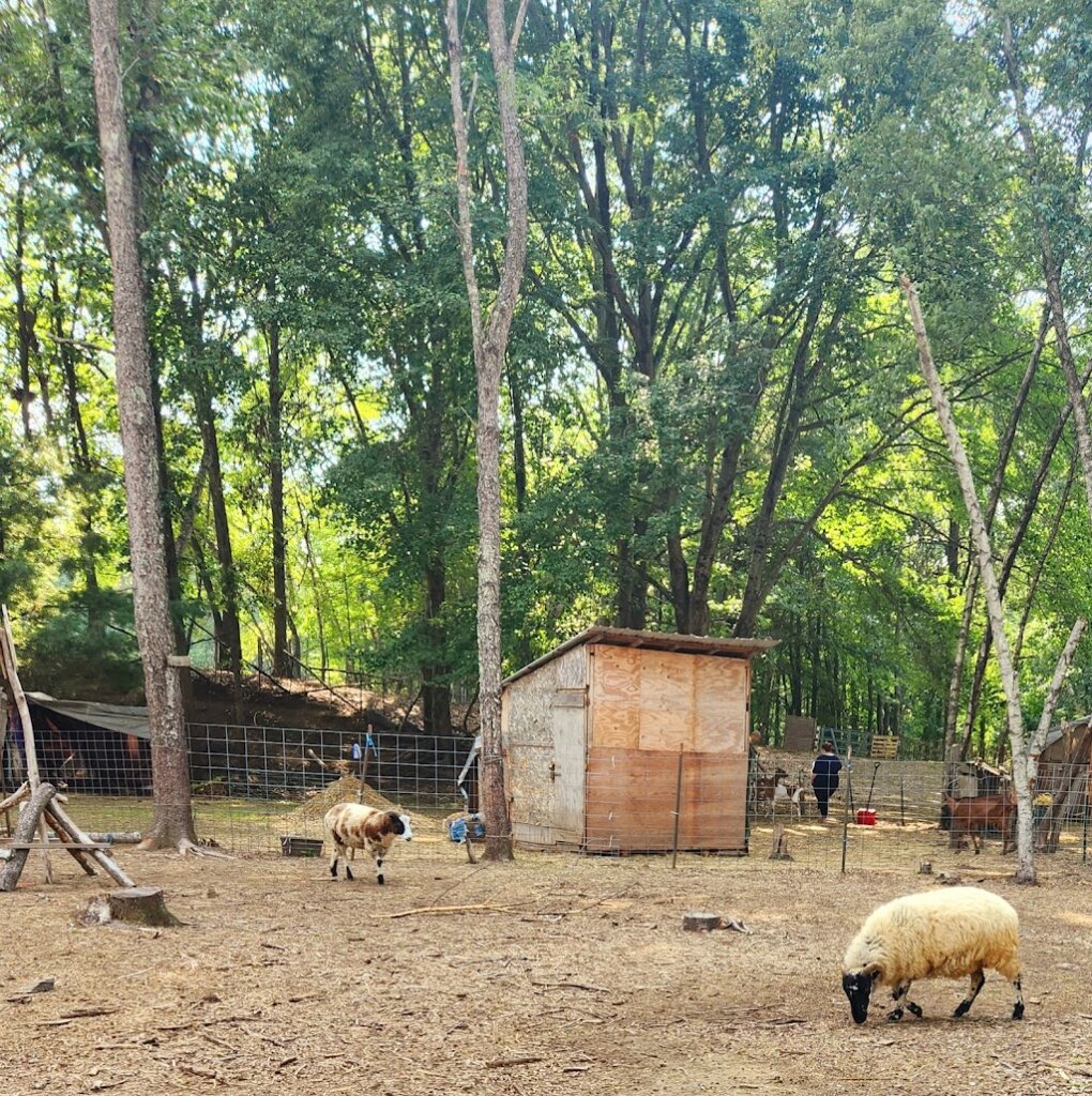 Cloa's Ark Animal Sanctuary animal shelter in Hadley, MA