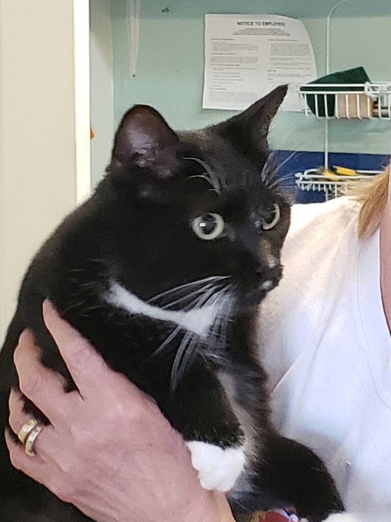 Coastal Animal Rescue animal shelter in Murrells Inlet, SC