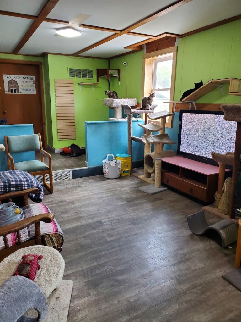 Community Cats Rescue and Adoption Center of Barron County in Rice Lake, WI