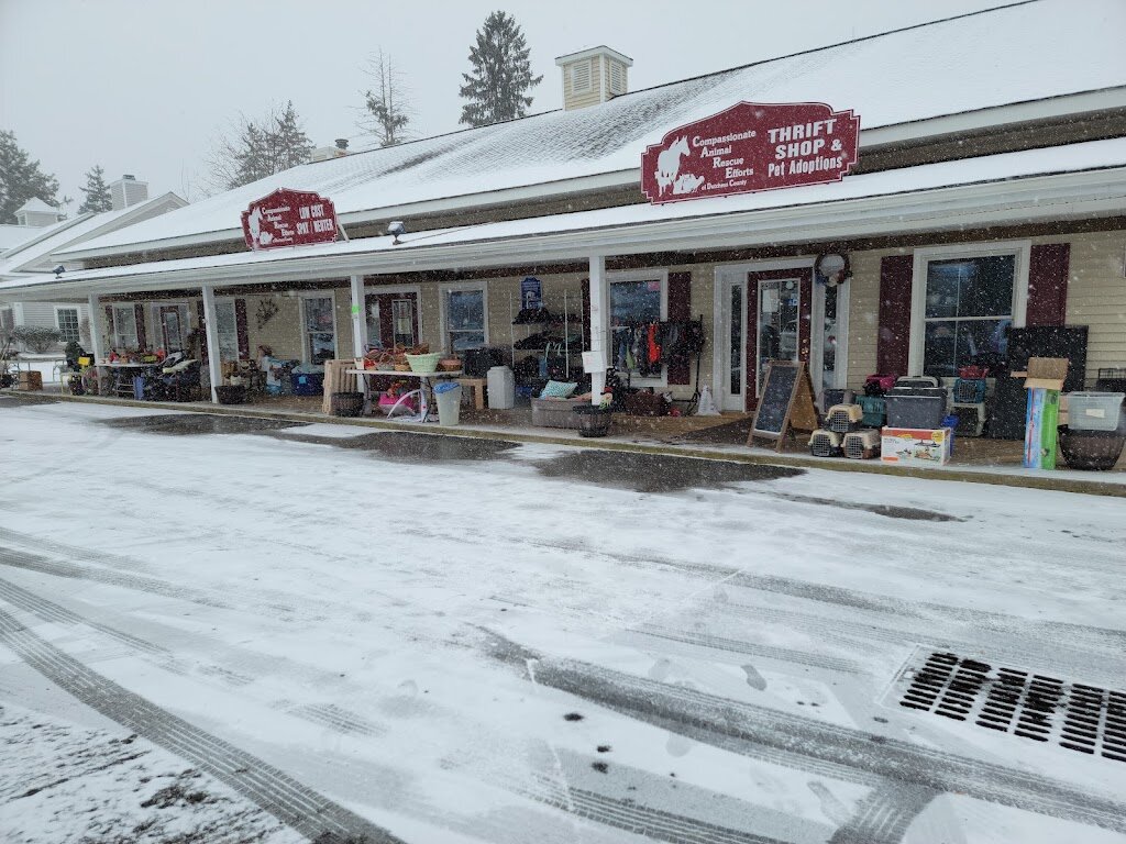 Compassionate Animal Rescue Efforts of Dutchess County animal shelter in Wappingers Falls, NY