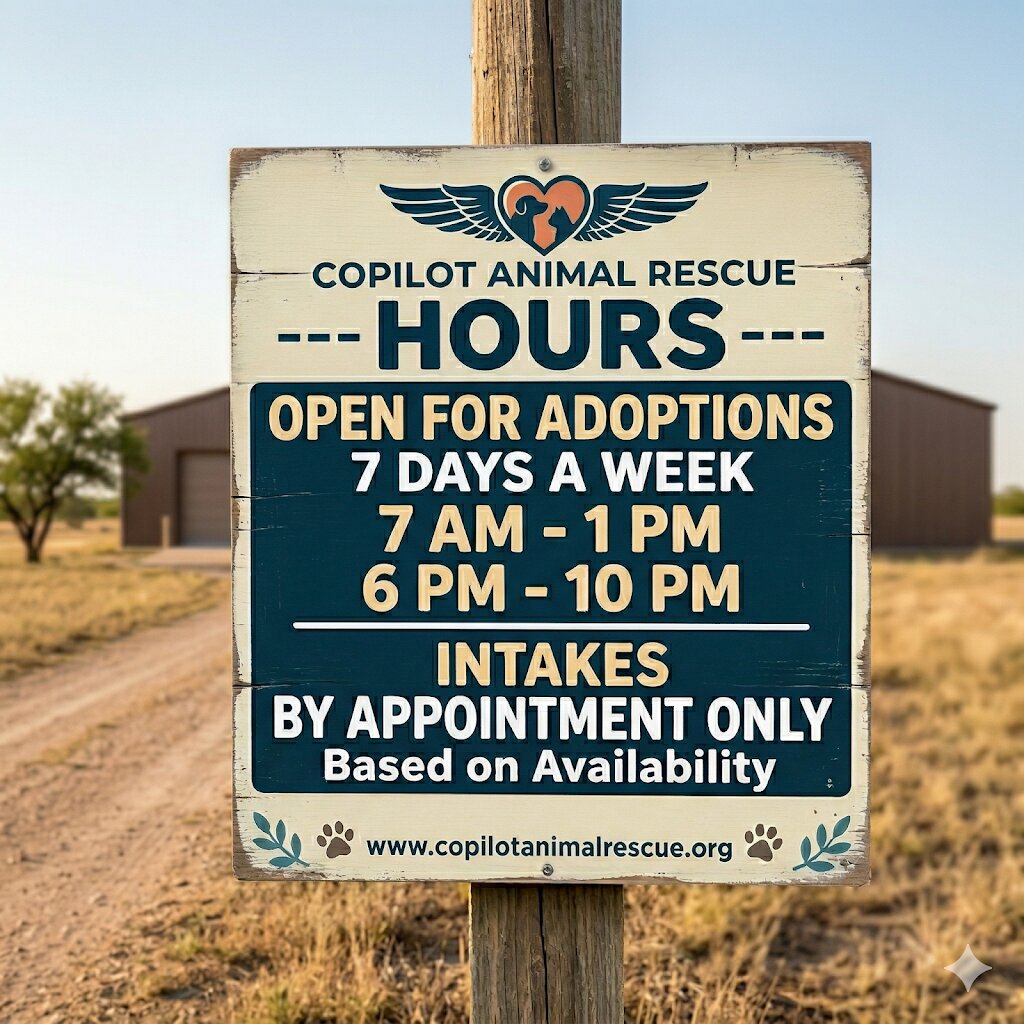 CoPilot Animal Rescue animal shelter in Sanger, TX