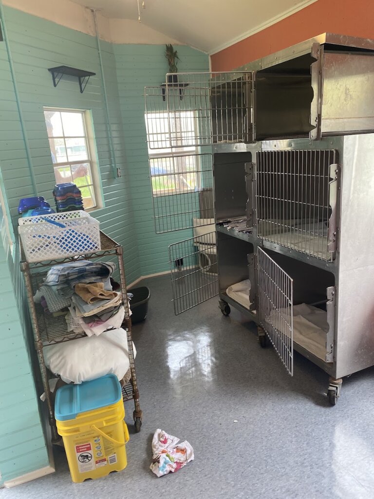 County Roads Rescue animal shelter in Jacksonville, TX