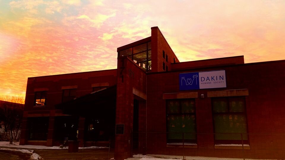 Dakin Humane Society animal shelter in Springfield, MA