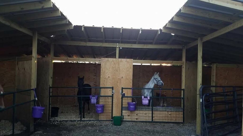Double D Animal Rescue and Community Services in Rhome, TX