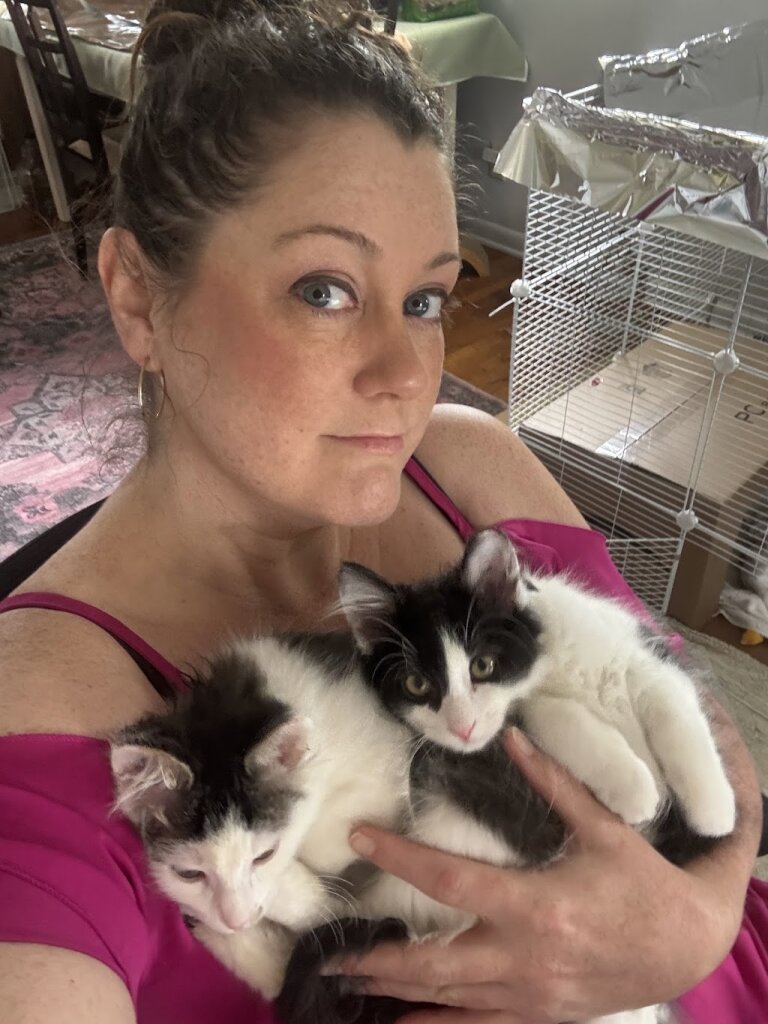 Doylestown Rescue And TNR in Doylestown, OH