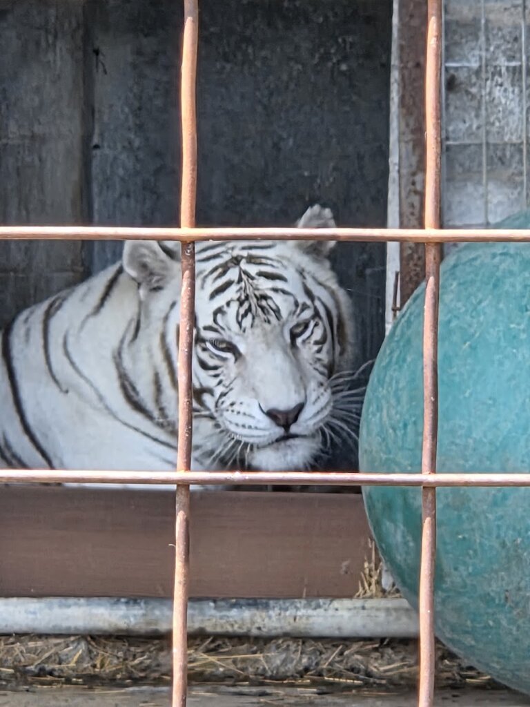 East Coast Exotic Animal Rescue in Fairfield, PA
