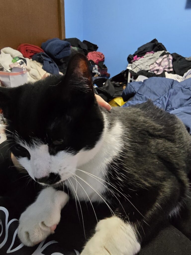 Eastshore Humane Association animal shelter in Chilton, WI