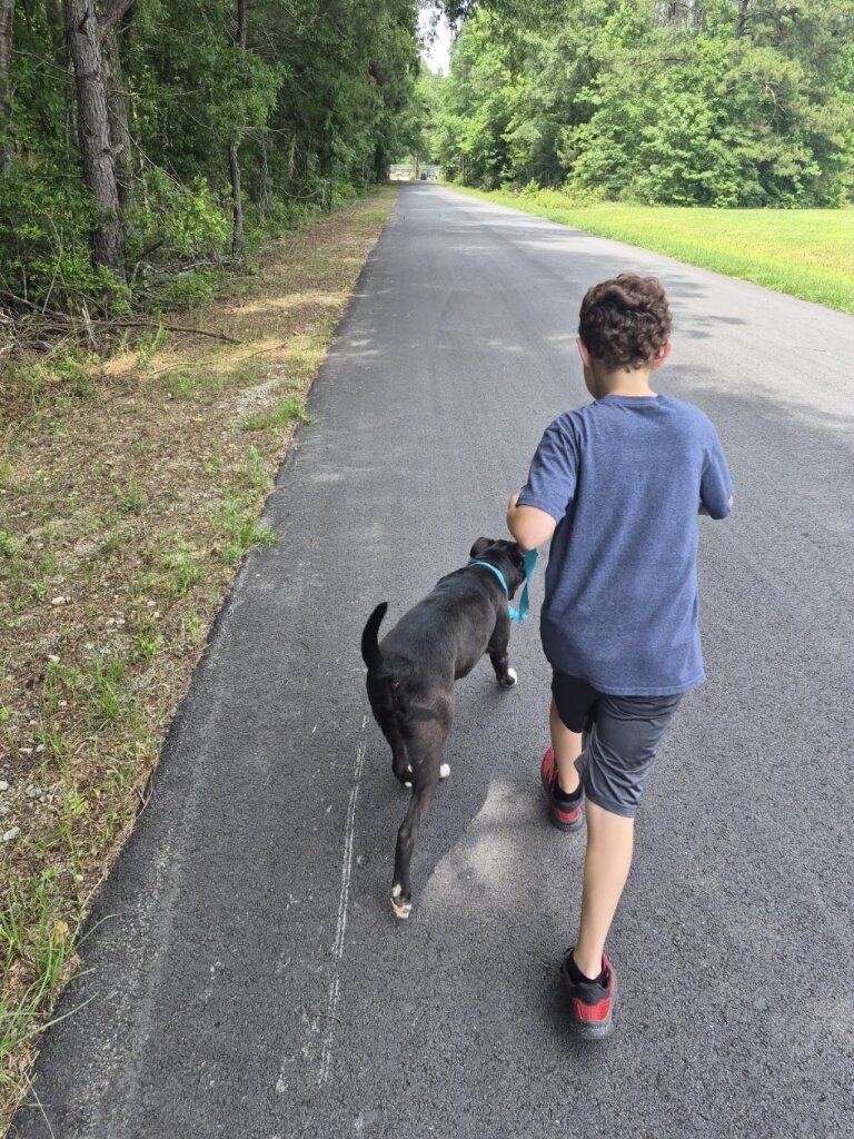 Edgefield County Animal Shelter in Edgefield, SC