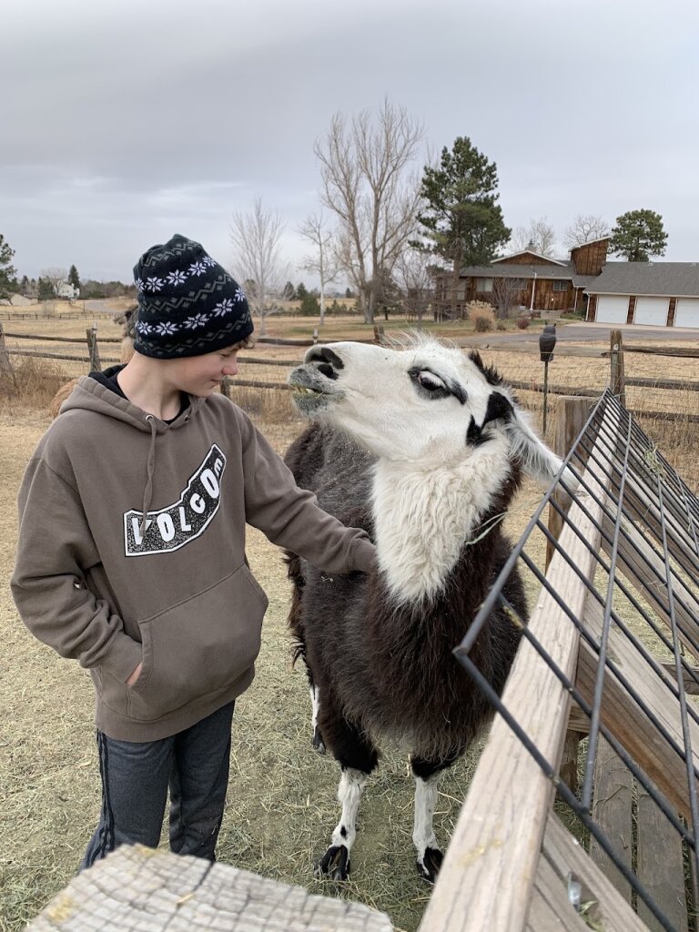 Edwards Foundation for Rescued Animals animal shelter in Parker, CO
