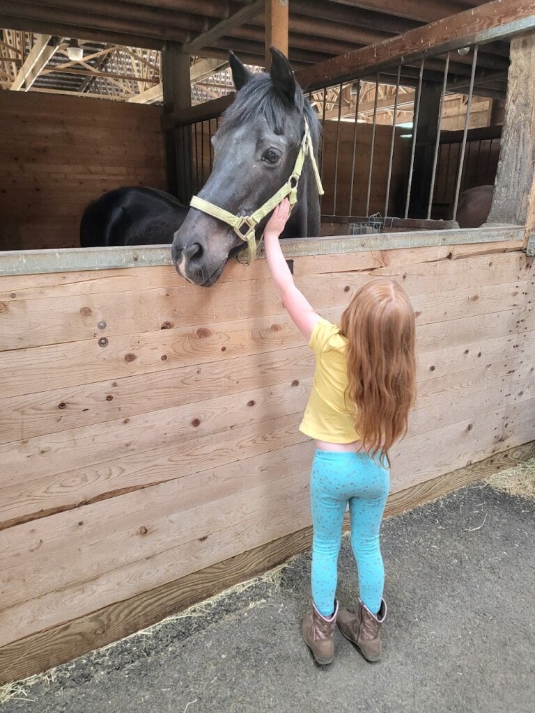 Equamore Sanctuary animal shelter in Ashland, OR