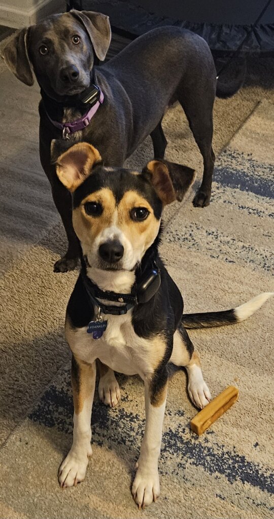 For The Sake Of Being Humane Rescue in Fennville, MI