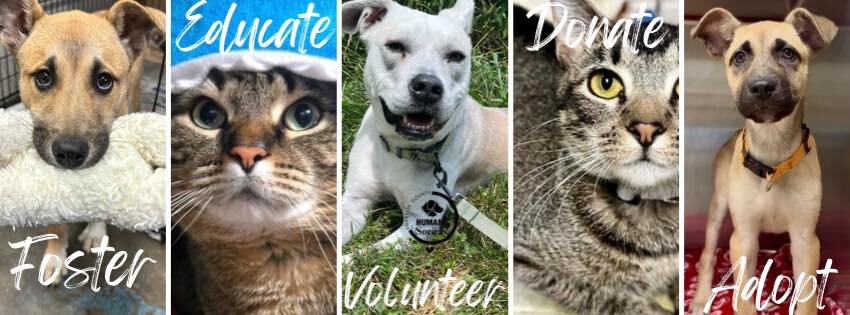 Franklin County Humane Society of Missouri in Union, MO