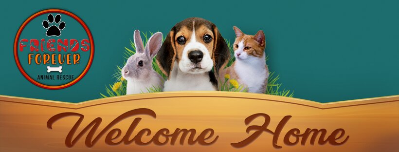Friends Forever Animal Rescue in Pennellville, NY