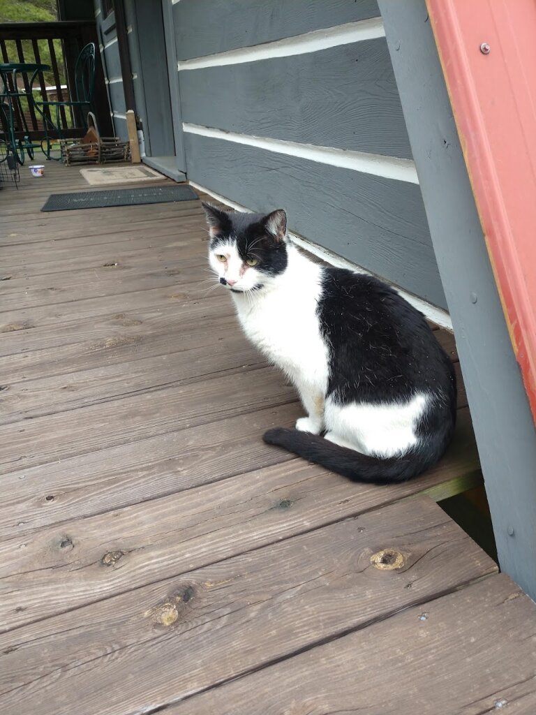 Galax Carroll Grayson Shelter in Galax, VA