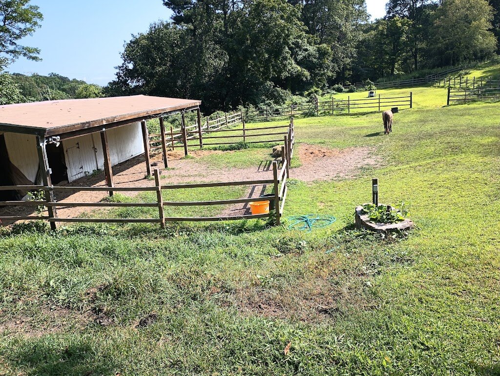 Graceland Meadows Animal Rescue & Sanctuary animal shelter in Ossining, NY